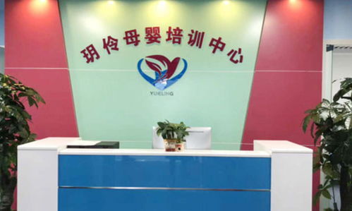 广州新一代母婴护理培训深度评测 口碑、实力与价值解析